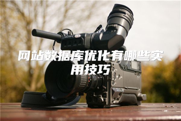 网站数据库优化有哪些实用技巧