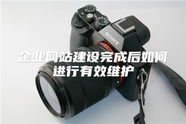 企业网站建设完成后如何进行有效维护